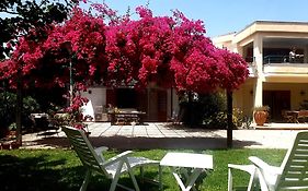 La Depandance Di Villa Rosa Locazioni Brevi