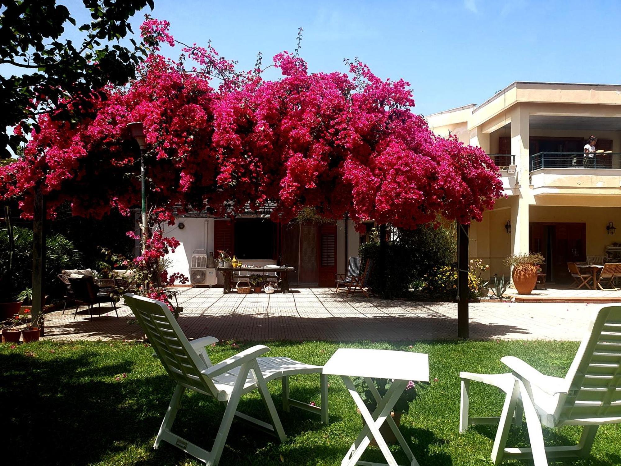 La Depandance Di Villa Rosa Locazioni Brevi Mondello Exterior foto
